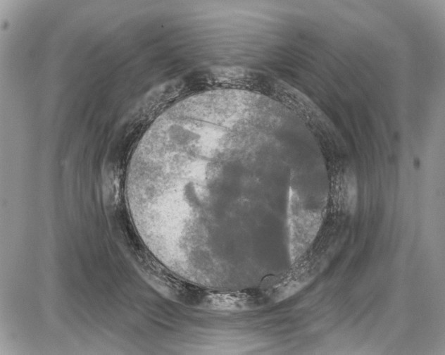 X0000087630703200705311329