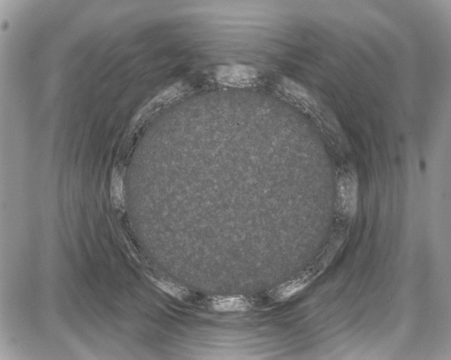 X0000087630705200705311329