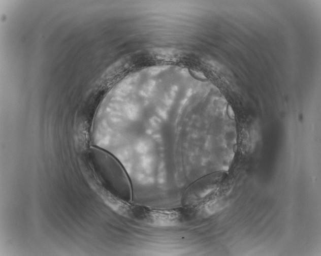 X0000087630707200705311329