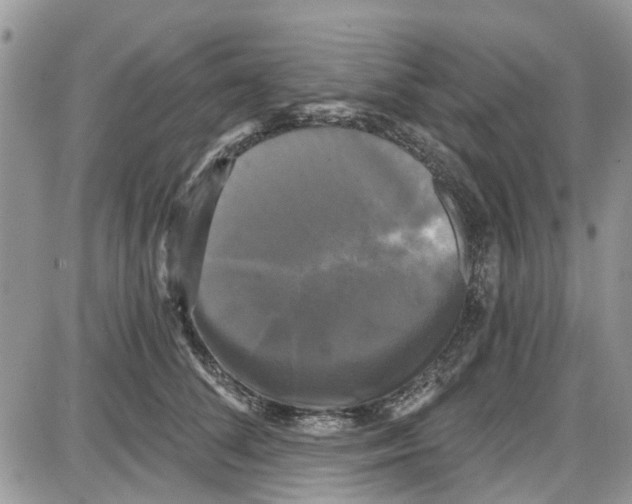 X0000087630708200705311329