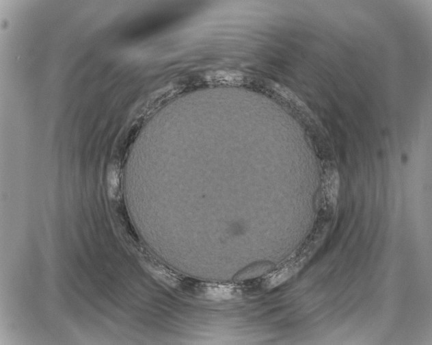 X0000087630709200705311329