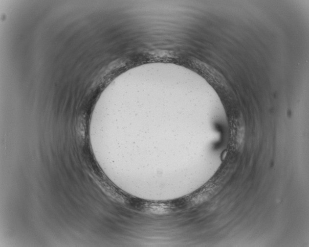 X0000087630710200705311329