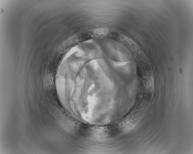 X0000087630711200705311329