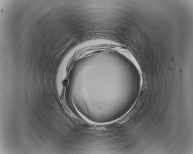 X0000087630712200705311329