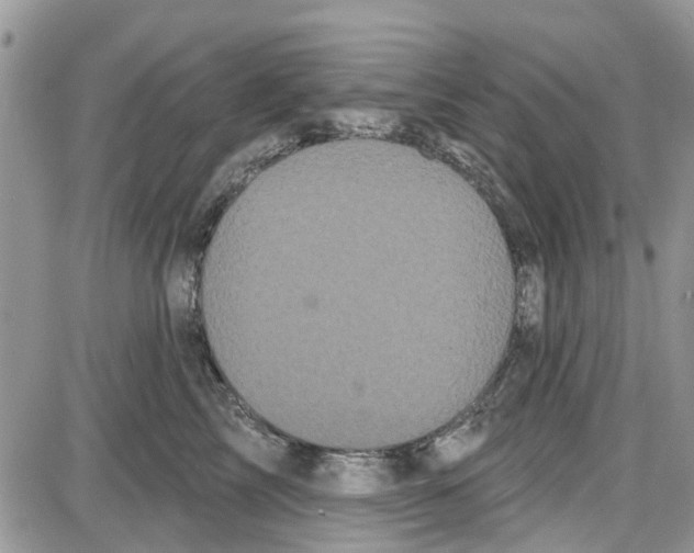 X0000087630713200705311329