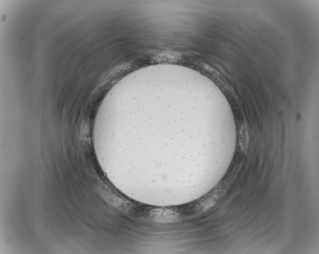 X0000087630714200705311329