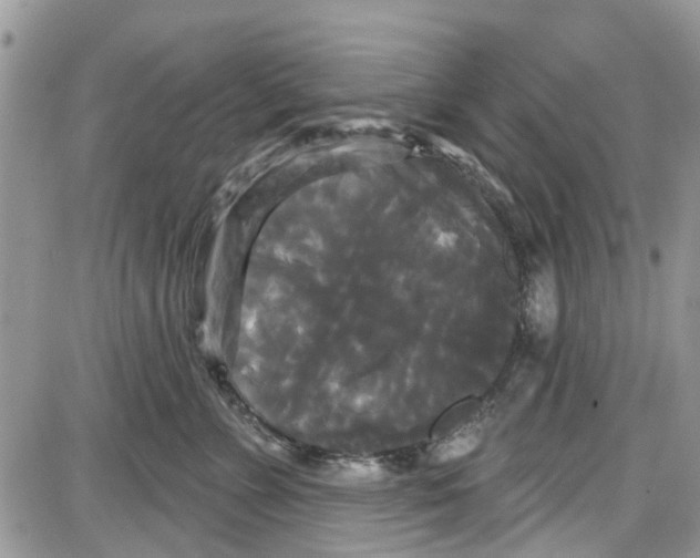 X0000087630715200705311328