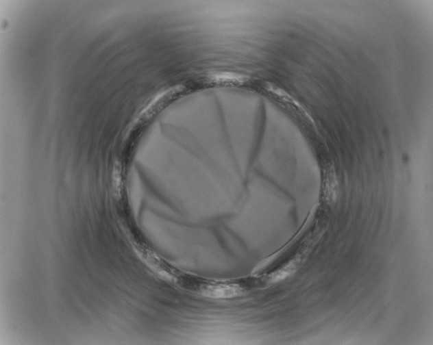 X0000087630716200705311328