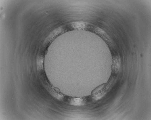 X0000087630717200705311328