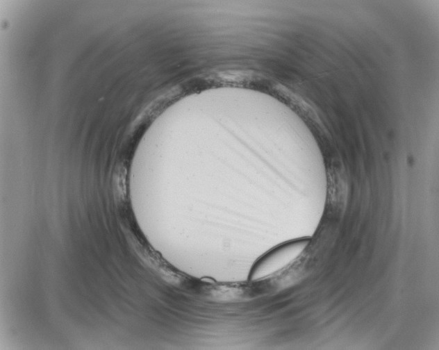 X0000087630718200705311328