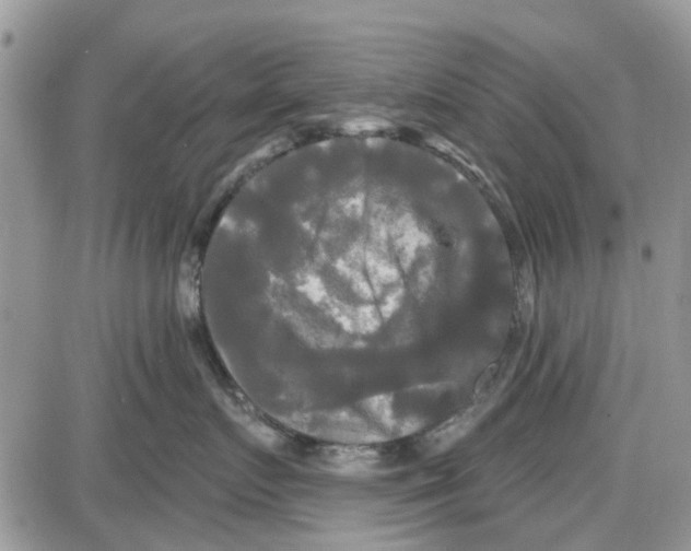 X0000087630719200705311328