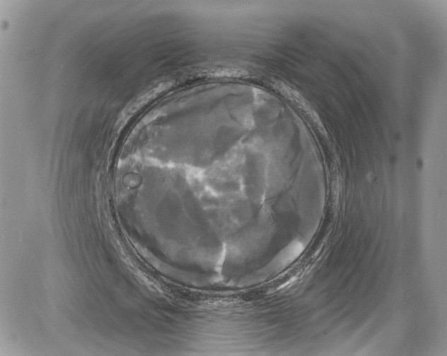 X0000087630721200705311328