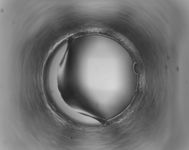 X0000087630722200705311328