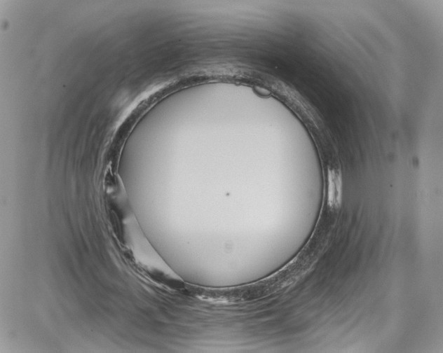 X0000087630723200705311328