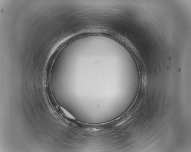 X0000087630724200705311328