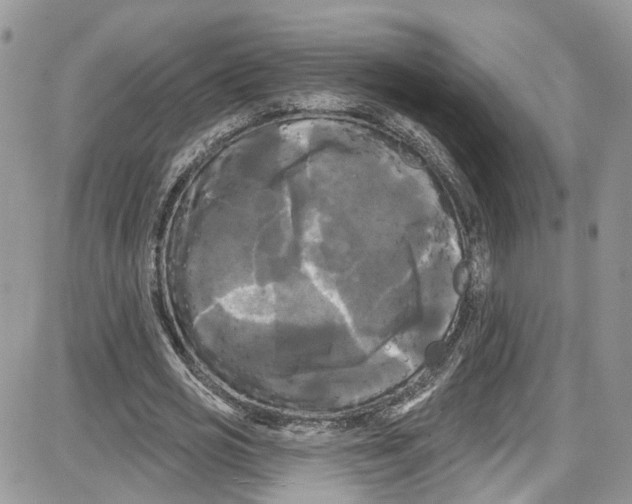 X0000087630725200705311328