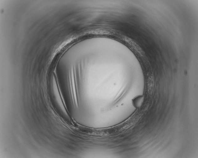 X0000087630727200705311328