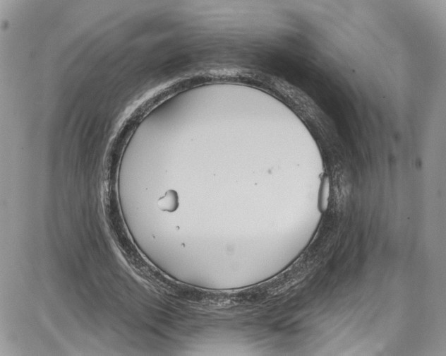 X0000087630728200705311328