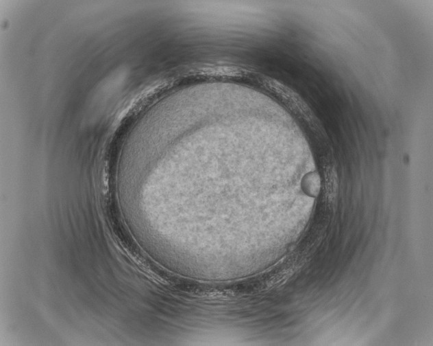 X0000087630731200705311328