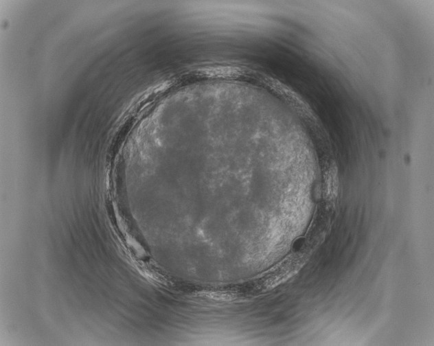 X0000087630733200705311328