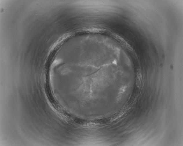 X0000087630734200705311328