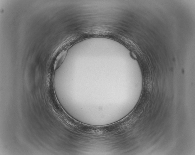 X0000087630735200705311328