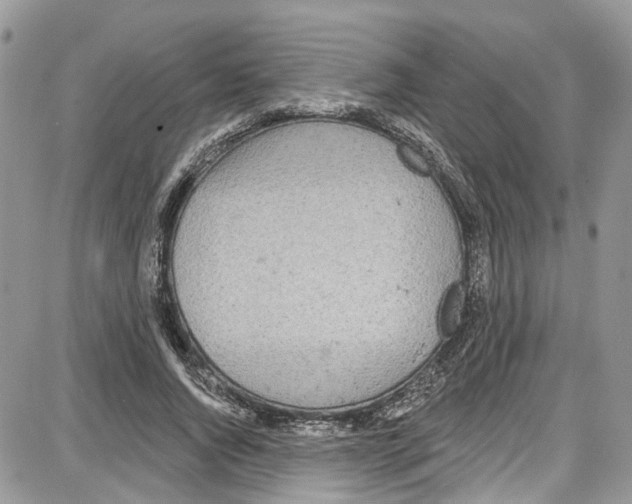 X0000087630736200705311328