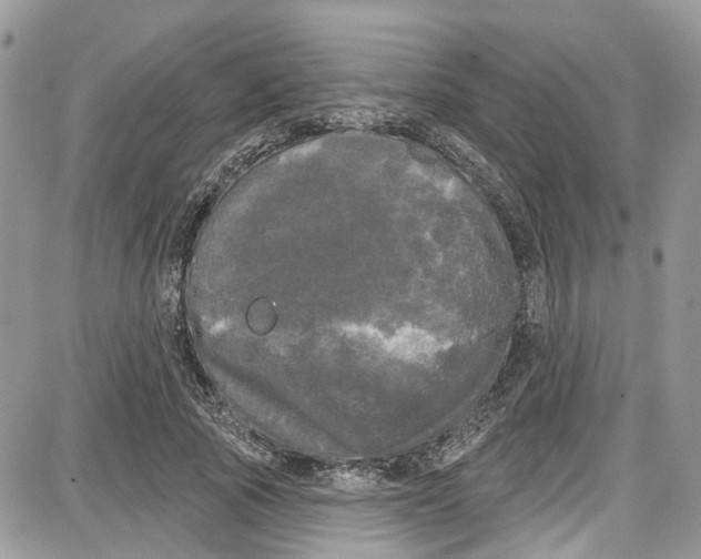 X0000087630737200705311328