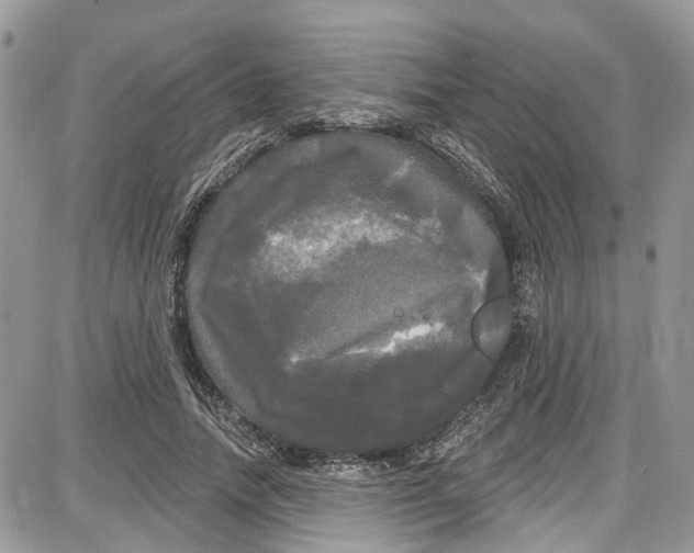 X0000087630738200705311328