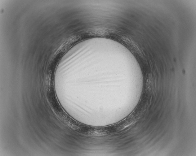 X0000087630739200705311328