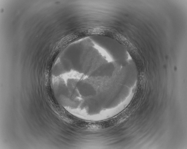 X0000087630741200705311328