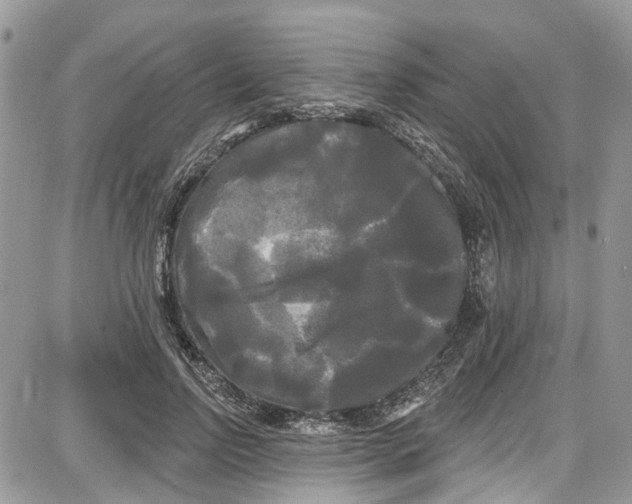 X0000087630742200705311328