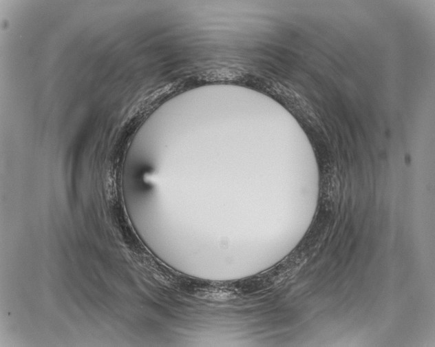 X0000087630743200705311328