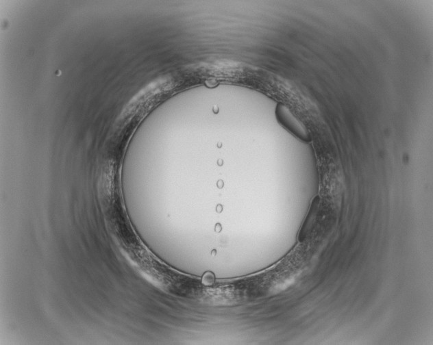 X0000087630744200705311328