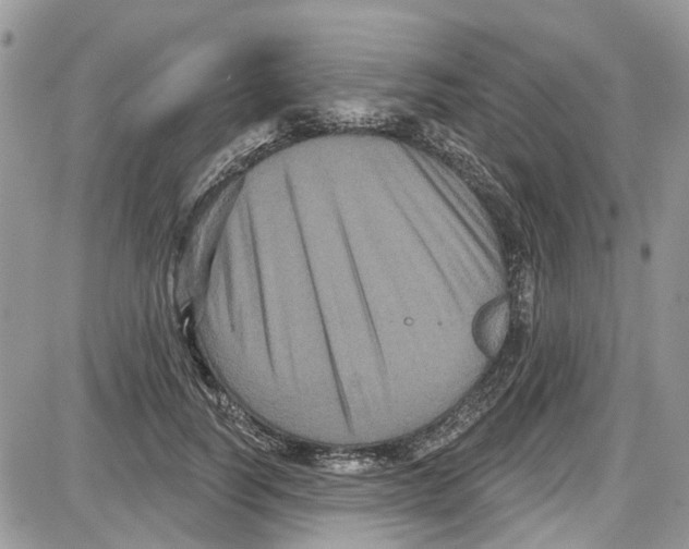 X0000087630746200705311328