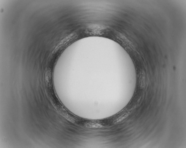 X0000087630747200705311328