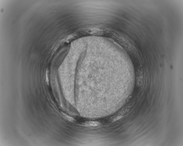 X0000087630748200705311328