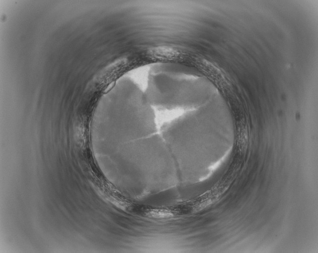 X0000087630749200705311328