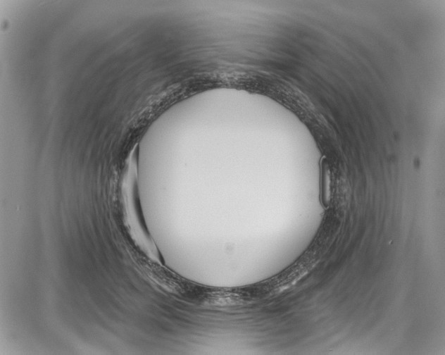 X0000087630750200705311328