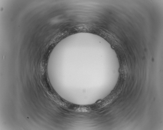 X0000087630751200705311328