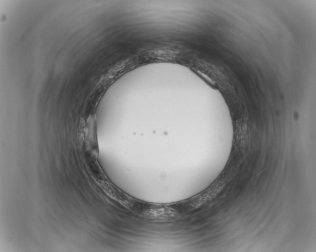 X0000087630752200705311328