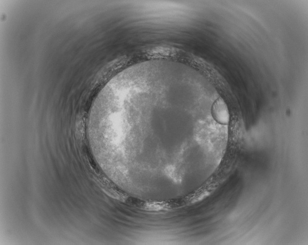 X0000087630753200705311328