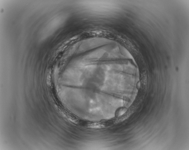 X0000087630754200705311328