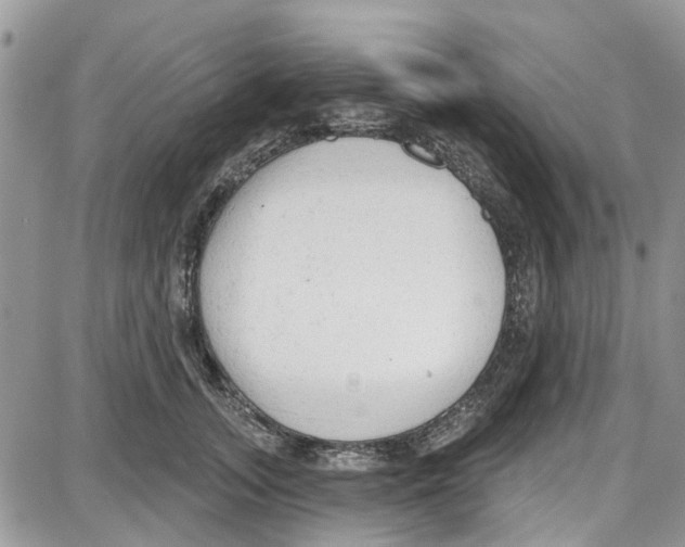 X0000087630755200705311328