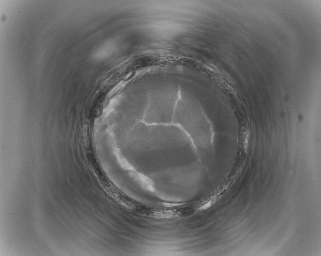 X0000087630757200705311328