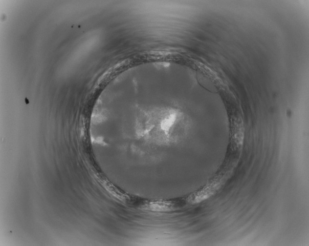 X0000087630758200705311328