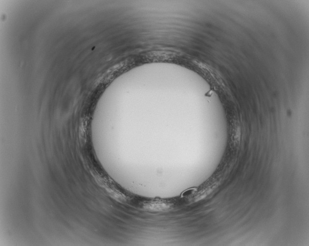 X0000087630759200705311328