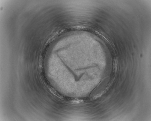 X0000087630760200705311328