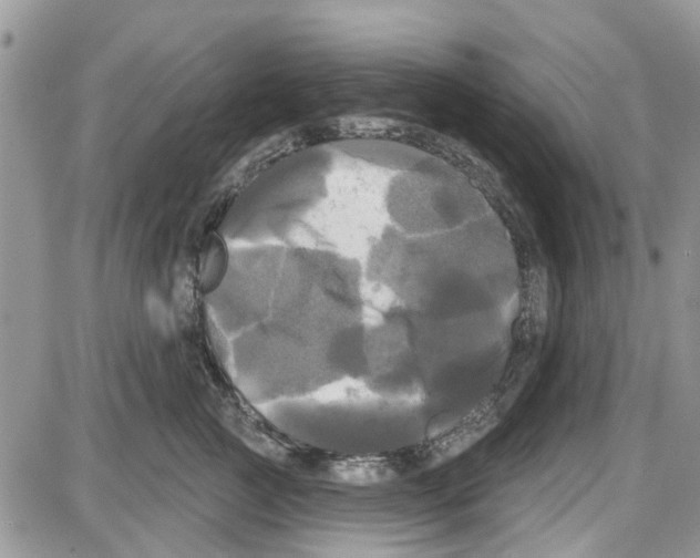 X0000087630761200705311328