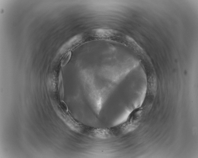 X0000087630762200705311328